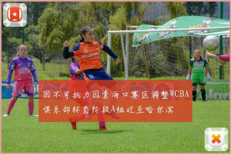 因不可抗力因素海口赛区调整WCBA俱乐部杯首阶段A组迁至哈尔滨