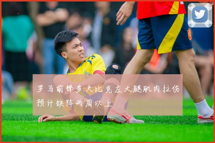 罗马前锋多夫比克左大腿肌肉拉伤预计缺阵两周以上